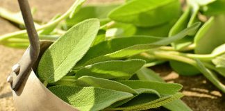 Po zdrowie do ogrodu