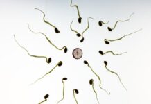 Co się dzieje ze spermą w prezerwatywie?