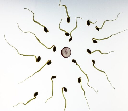 Co się dzieje ze spermą w prezerwatywie?