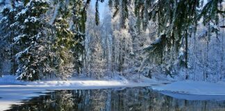 Jakie rękawiczki na mrozy?