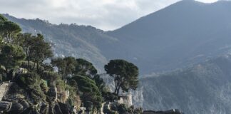 Ile kosztuje kurs ratownika KPP?