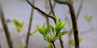 Kiedy jednorazowa się kończy?