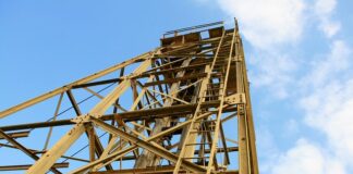 Ile czasu po wszawicy swędzi głową? Ile czasu po wszawicy swędzi głową?