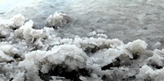 O której porze dnia brać magnez? O której porze dnia brać magnez?