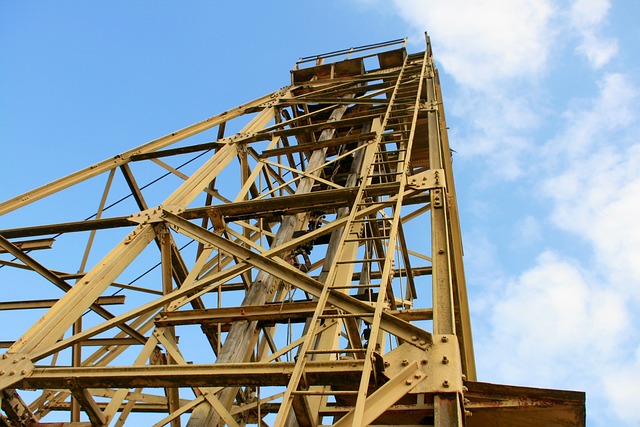 Do czego prowadzi nieleczona wszawica? Do czego prowadzi nieleczona wszawica?