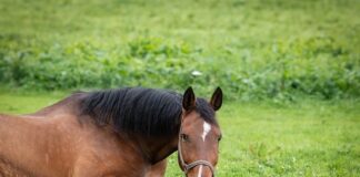 W którym miejscu uchwyt na telefon?