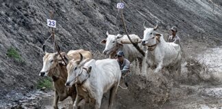 Jaki jest ból przy rwie kulszowej?