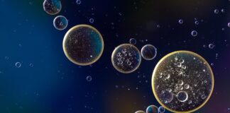 Kto nie powinien pić oleju konopnego?