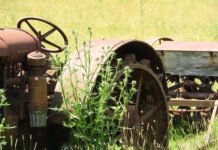 Czy każdy mężczyzna ma przerost prostaty? Czy każdy mężczyzna ma przerost prostaty?