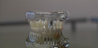 Ile kosztuje proteza akrylowa? Ile kosztuje proteza akrylowa?