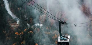 W jaki sposób obniżyć PSA? W jaki sposób obniżyć PSA?