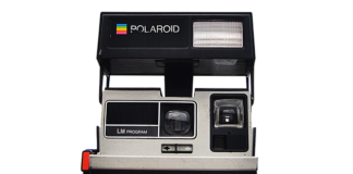 Ile kosztuje usunięcie kleszcza?