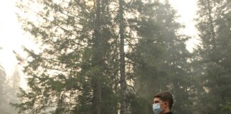 Czy od pasożytów swędzi skóra? Czy od pasożytów swędzi skóra?