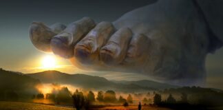 Co decyduje o siłę mięśni? Co decyduje o siłę mięśni?