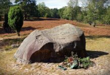 Czy witamina C oczyszcza żyły? Czy witamina C oczyszcza żyły?