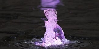 Czy codzienny wytrysk jest zdrowy? Czy codzienny wytrysk jest zdrowy?