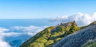 Jaka jest różnica między tabletkami a kapsułkami?