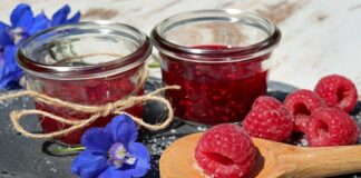 Jak zrobić samemu preparat na kleszcze?