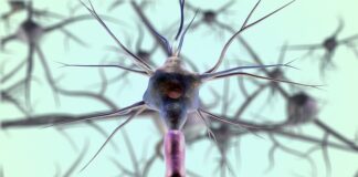 Co na nerwy ziołowe? Co na nerwy ziołowe?