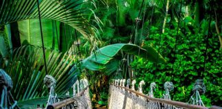 Czy warto robić kurs KPP?