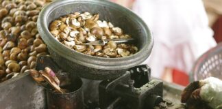 Jak wyglądają gnidy u człowieka? Jak wyglądają gnidy u człowieka?