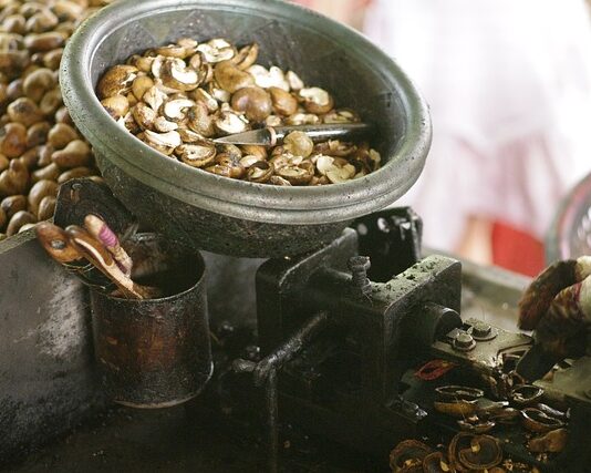 Jak wyglądają gnidy u człowieka? Jak wyglądają gnidy u człowieka?