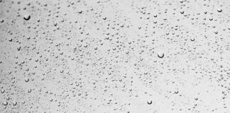 Jakie krople na wirusowe zapalenie spojówek? Jakie krople na wirusowe zapalenie spojówek?