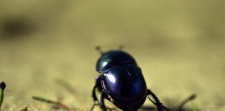 Czy można wychodzić na dwór z zapaleniem spojówek?