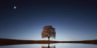 Czy picie wody wpływa na rozrzedzenie krwi?