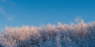 Jak skrócić czas trwania przeziębienia?