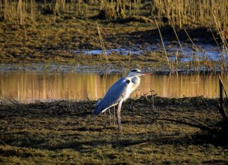 Jak leczyć chore stawy dłoni? Jak leczyć chore stawy dłoni?