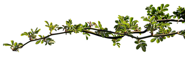 Co zrobić gdy się ma zatkane ucho? Co zrobić gdy się ma zatkane ucho?