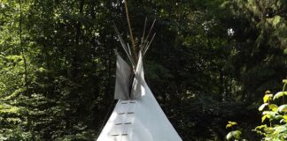 Czy tramadol to morfina?