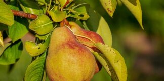 Jakie odżywki brać na początek? Jakie odżywki brać na początek?