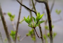 Po czym poznać że jednorazowa się kończy?