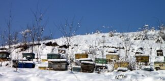 Jak wygląda pokrzywka na skórze?