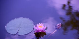 Jak wzmocnić stawy nadgarstka?