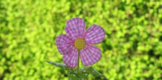 Czym smarować alergiczne zmiany skórne?