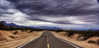 Czy prosto Nel można kupić w aptece?